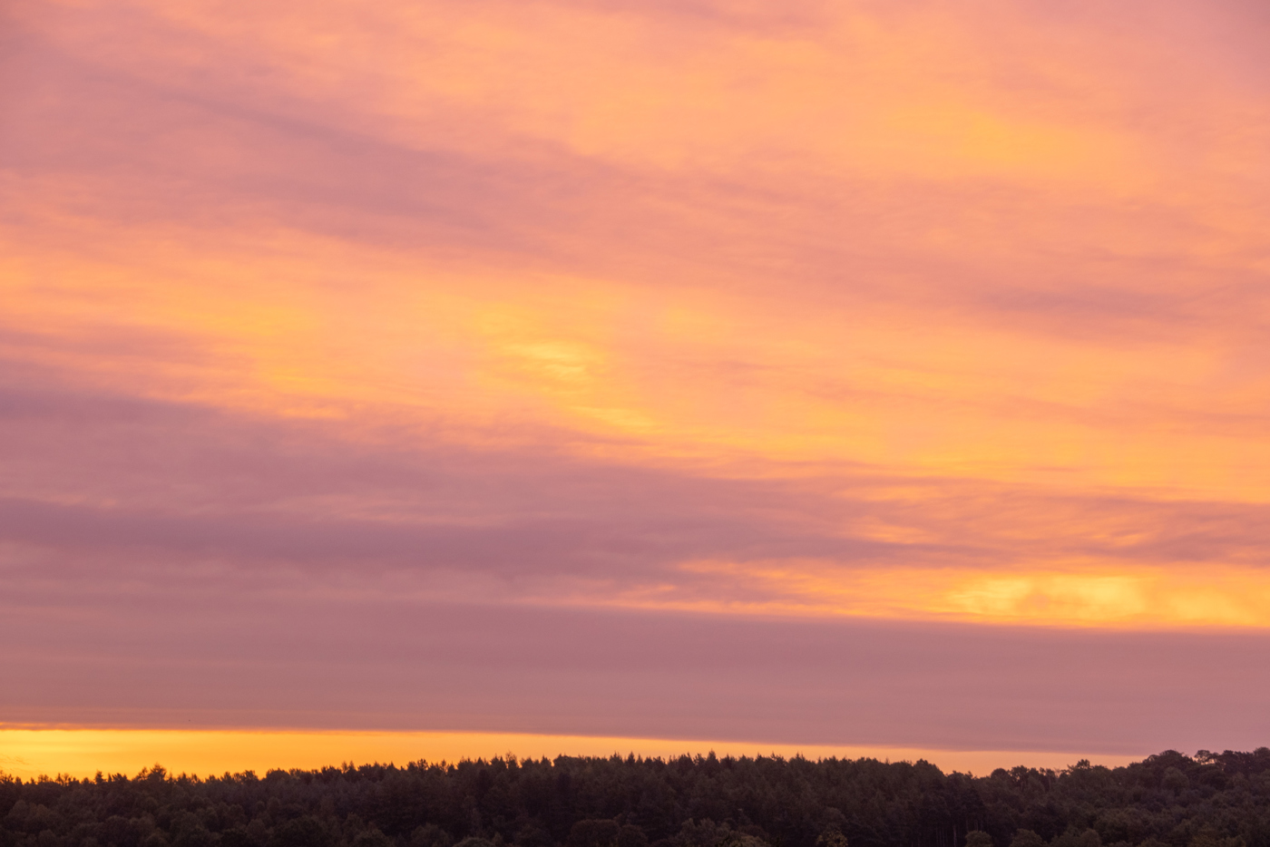  a sunset in the background