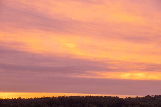  a sunset in the background