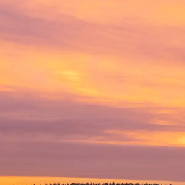 Early Morning Skies