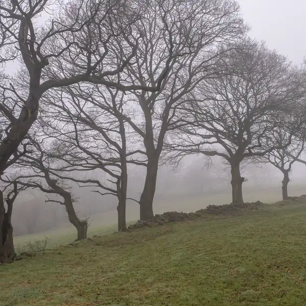 April mists