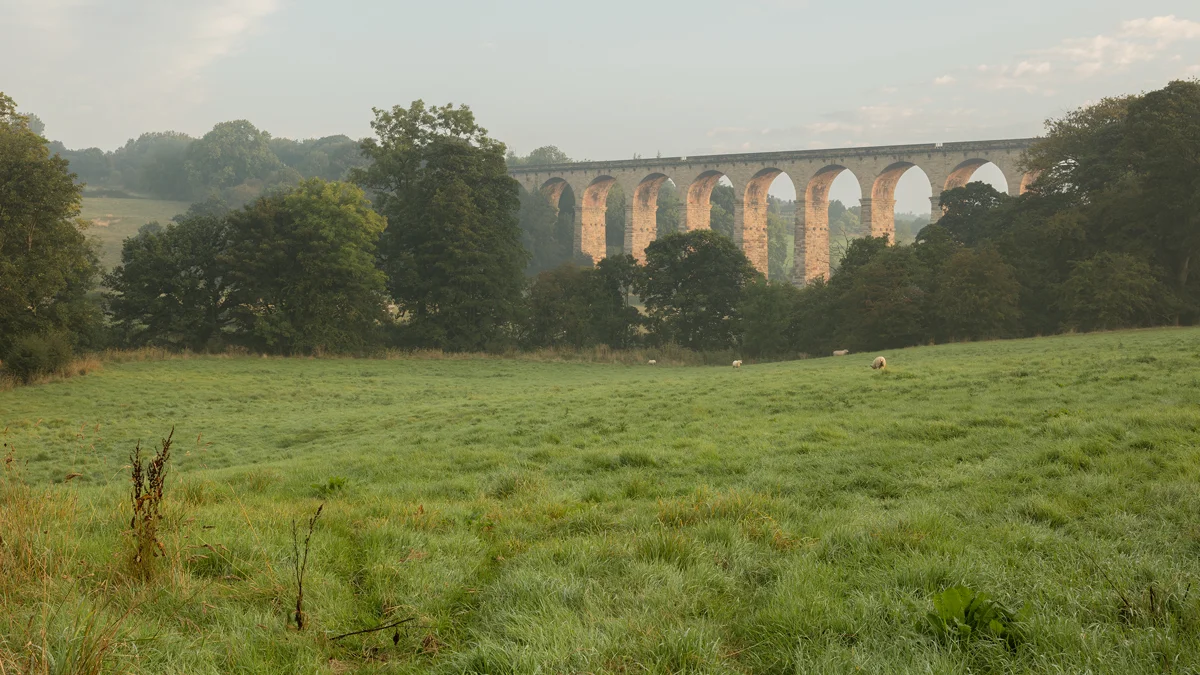 Stone railway viaduct with tall arches above a misty green valley with grazing sheep at dawn
