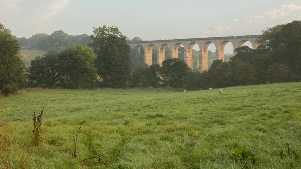 Stone railway viaduct with tall arches above a misty green valley with grazing sheep at dawn