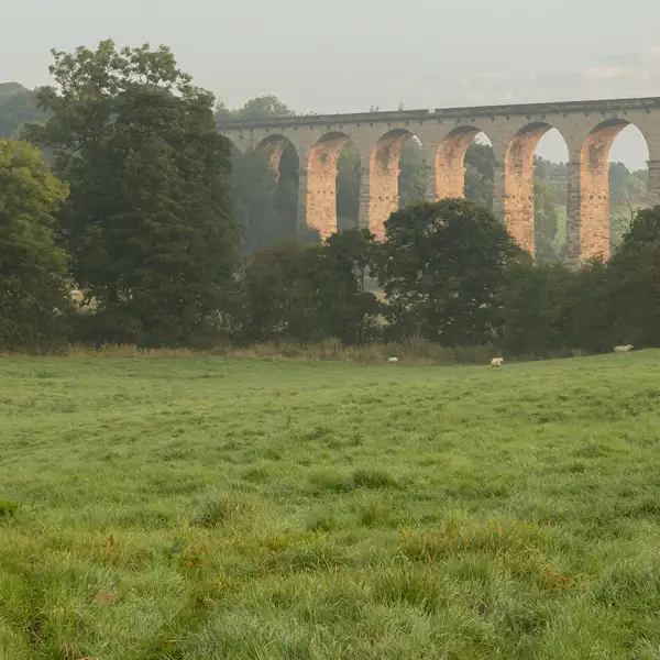Crimple Valley Misty Summer Morning